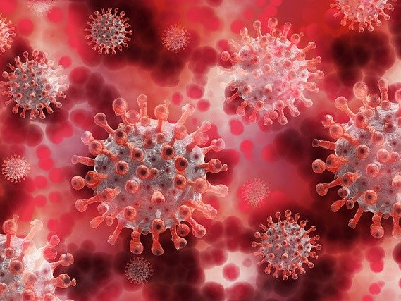 Beitragsbild - Coronavirus